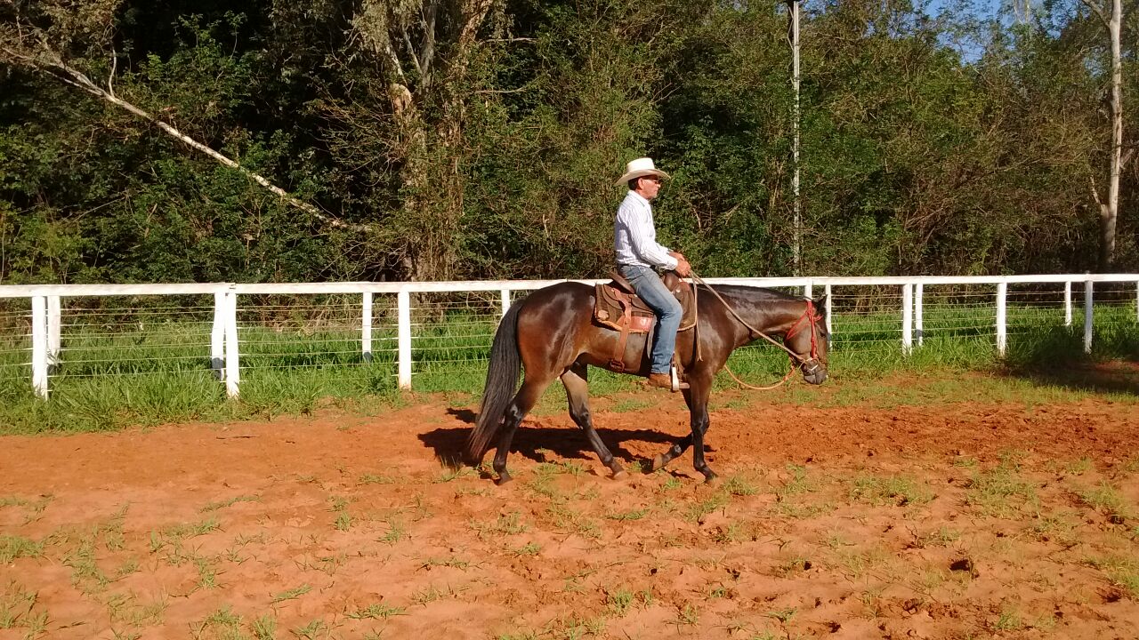 Seu Aldemir (pai) durante o treinamento